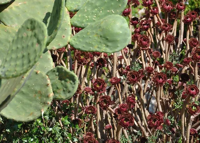 By The Sea Pasadur, Lastovo - 8351 Apartamento